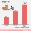 (애견호텔,미용 창업) 버스광고로 지역주민 입소문 꽉잡는 방법