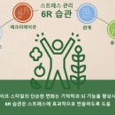 점핑캥거루