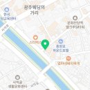 광주강아지분양 블랑펫 이미지