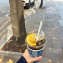 라리아 | 강남 비아살라리아 오렌지커피 후기｜강남역 단골 카페 추천 | 소문날까봐 무서운 맛있는 카페