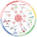 Re: Tumor initiating cell(cancer stem cell) 통시적 연구!! 이미지
