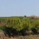 영광부동산공인중개사사무소 이미지