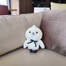 앰배서더 서울 풀만 호텔 이미지