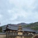 [경북청도여행] 청도 운문사 공영주차장에서 운문사...산책, 운문사 서점에서 컵 옻칠수저 구매한 후기