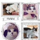 포근한동물병원 이미지