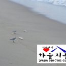 윤씨네민박 이미지