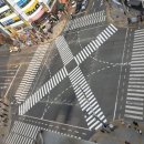 수지로얄스포츠센터 이미지