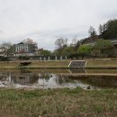 솔숲갈래길 이미지