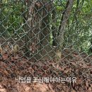 가을 등산할때 낙엽 조심해야 하는 이유 이미지