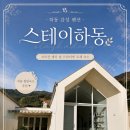 391-2-000047 | [하동] 감성 펜션 찾는다면? '스테이하동' 지리산 계곡 숙소 후기