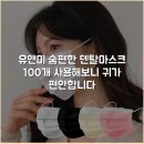 월드덴탈 | 유앤미 숨편한 덴탈마스크 100개 사용해보니 귀가 편안합니다