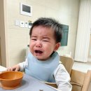 본죽(함양점) | 꼬북이 유아식 :: 12개월 먹태기,밥태기 극복하기 / 베이비본죽 시판이유식을 사보았다