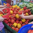 무수과일야채 이미지