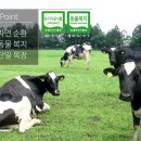 청초목장 이미지