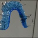 365효플란트치과의원 이미지