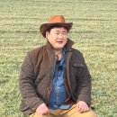 애니멀즈 이미지