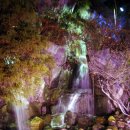 삼원일식 이미지