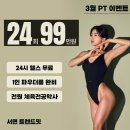 일번피티 이미지