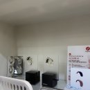 가자 보청기 | 송파구보청기 상담 받고 마음이 놓였어요