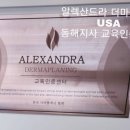 담플레닝 네이버블로그