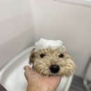 삼학농장 | 네식구가 되어 처음 떠나는 태교여행(1)