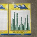 압구정-244 이미지