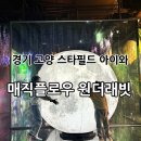 신나는 전자드럼 교실 | [경기고양] 아이와 실내 가볼만한 곳, 고양 스타필드 매직플로우 전시 “원더래빗 고양” 후기