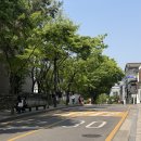 청와대만두 | 안국 그냥 걸었어. 허스밴즈/청와대사랑채/황생가칼국수/나만알고파레망도레