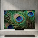 가-65 | 65QNED75AEA 사운드바 포함 가격 지금 이 조합이 맞는 이유