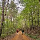 대청호오백리길 찬샘마을길 | [ 대청호 오백리길 2구간 찬샘마을길 ]