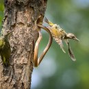 한국환경 이미지