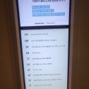 이씨에프 | 홍대팝업스토어 이씨에프라운지 득템 후기