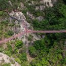 거창 항노화 힐링랜드 자연휴양림 이미지