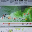 제29차 7월 정기산행 지리산 구룡계곡 트래킹 이미지