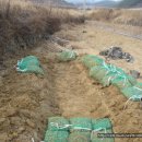 신등농장 이미지