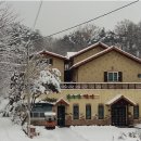 봉수산숲펜션 - 35145 | 봉수산숲펜션