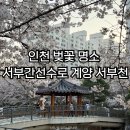 작전체육공원 | 인천 벚꽃 명소 서부간선수로 | 계양 서부천 벚꽃축제 일정 장소 주차 개화현황