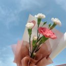바바라플레르