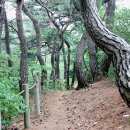 소나무집 민박 이미지