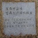 회원동131 이미지