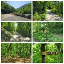 자뭇골두위봉입구 | 두위봉 등산 후기(강원도 정선)