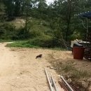 승희축사 이미지