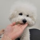 멈머링(mummuring) 이미지