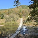 제319차 충북 영동군 황간면 월류봉 초강천 둘래길 공지 이미지