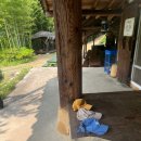 관광예술원 이미지