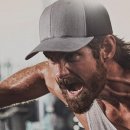 골드피그 이미지