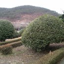 해룡초등학교 이미지