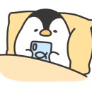 카페505