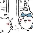 뽑고가냥 이미지