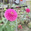 여울펜션 이미지